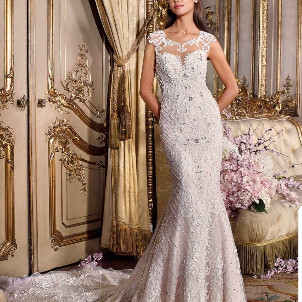 Platinum by Demetrios Wedding Gown - Picture 8 of 9